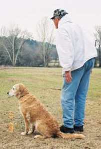 retriever training